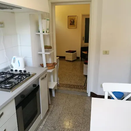 Bright Close To Downtown Apartment